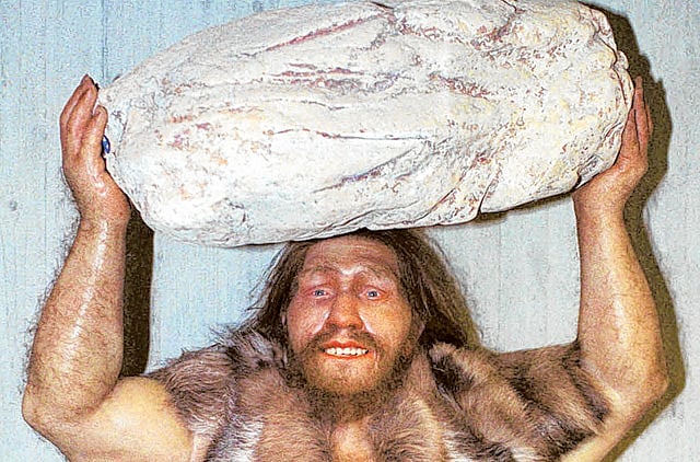 1.1284161-1962681001