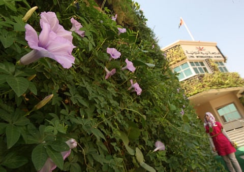 Abdel-Krim Kallouche/XPRESS