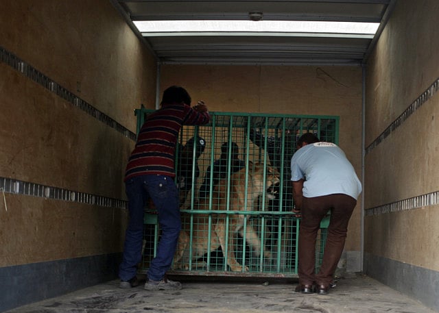 1.1392655-2229378297