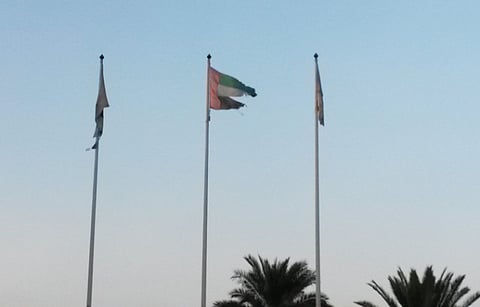 'Shabby UAE flag ruins Dubai Creek Park image'
