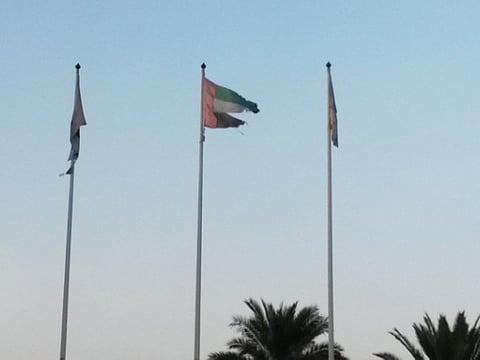 'Shabby UAE flag ruins Dubai Creek Park image'