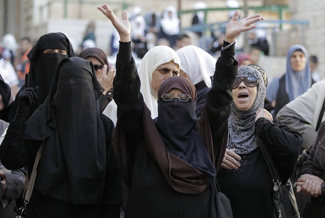 1.1397905-1721834935