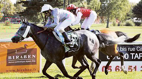 Courtesy: Organisers