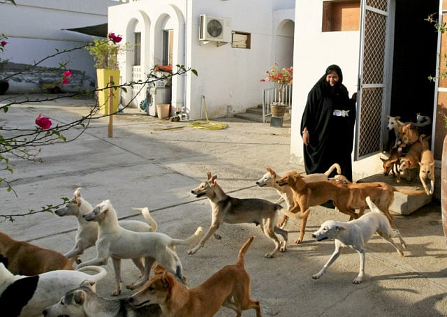 1.1399142-1149507042