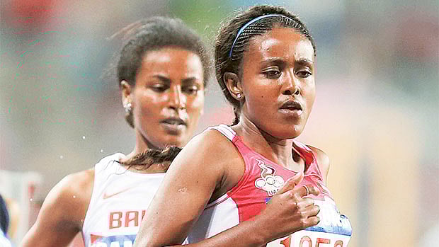 1.1401273-4285064378