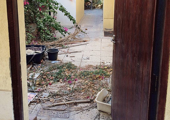 1.1402529-4206145897