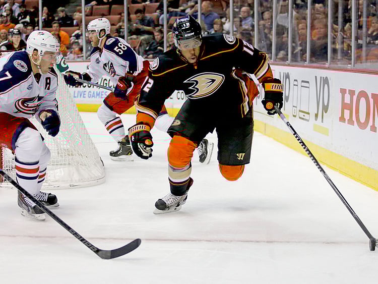 1.1403559-3643152572