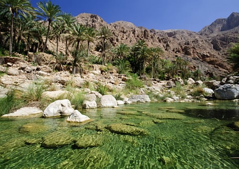 The total recoveries from the coronavirus in Oman have reached 2,177, the health ministry said.