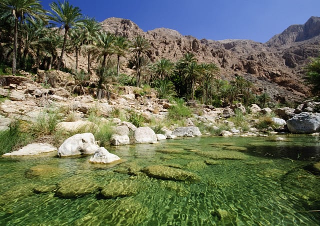 1.1865851-2899306466