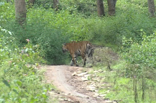 1.1394770-1175342373