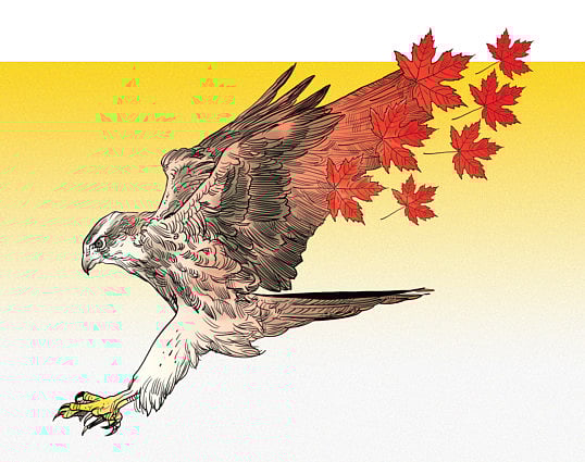 1.1395980-2191484223