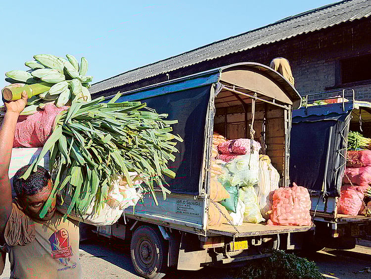 1.1405550-2535177924