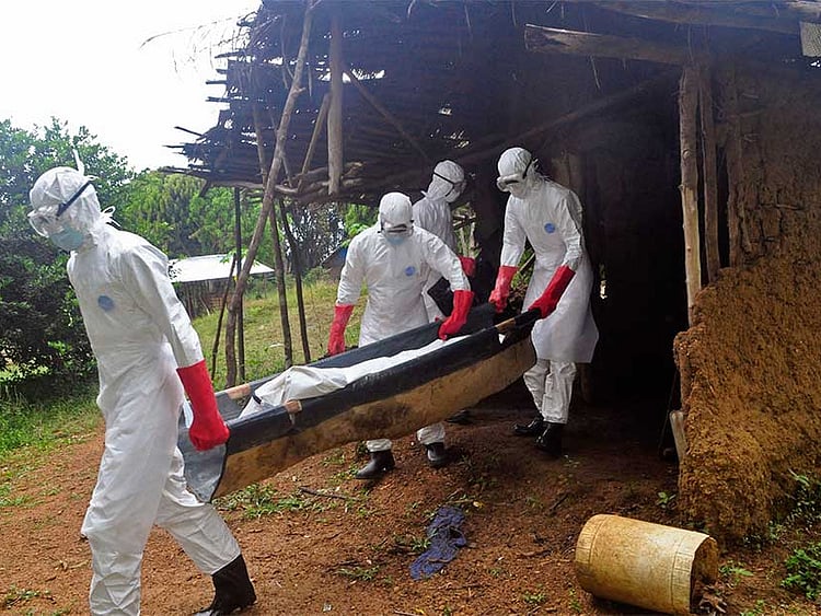 1.1410060-1038991781