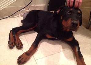 1.1411596-1403499519