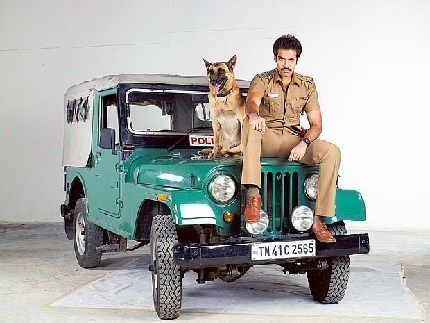 1.1414511-1570621607