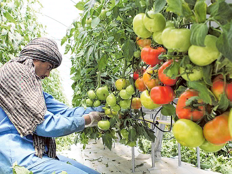 1.1414023-2305490477