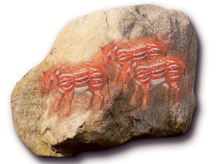 1.1416233-3230116910