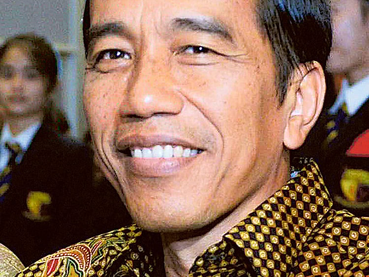 1.1416254-3392785411