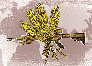 ‘Depopulation’ and global supply of grain