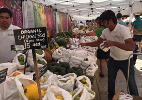 Anjana Sankar/XPRESS