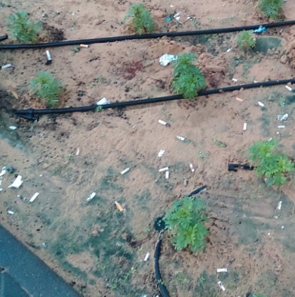 Improper disposal of cigarettes needs to end