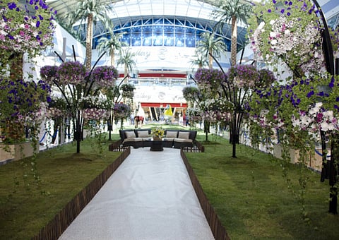 Dubai’s Miracle Garden blossoms in Abu Dhabi