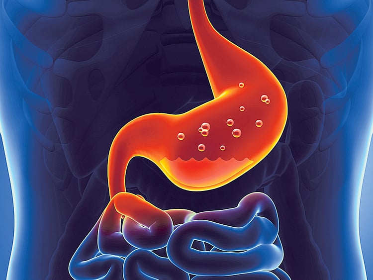 1.1408820-1328801318