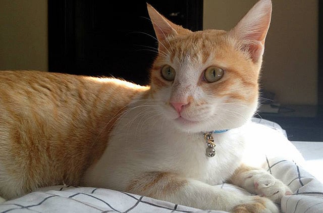 1.1409114-1248219762