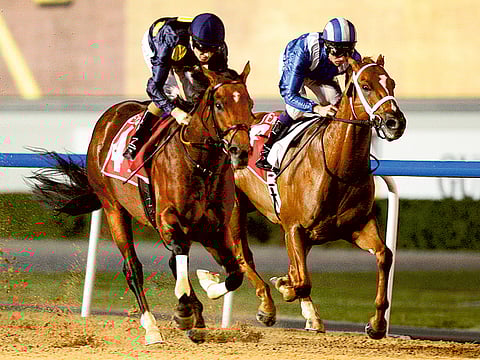 The action returns to Meydan where a domestic card, sponsored by property developers Azizi, will be held on Friday.