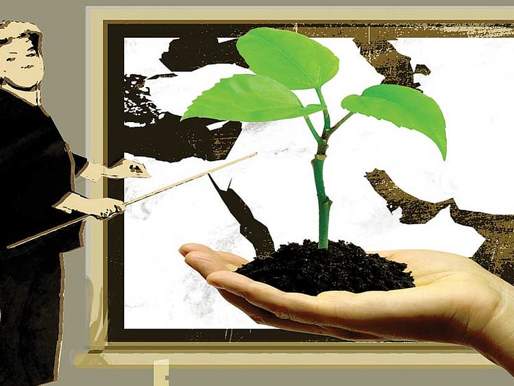 1.1425503-4018002166