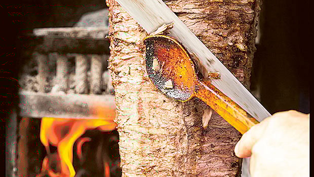 1.1426464-3092328582