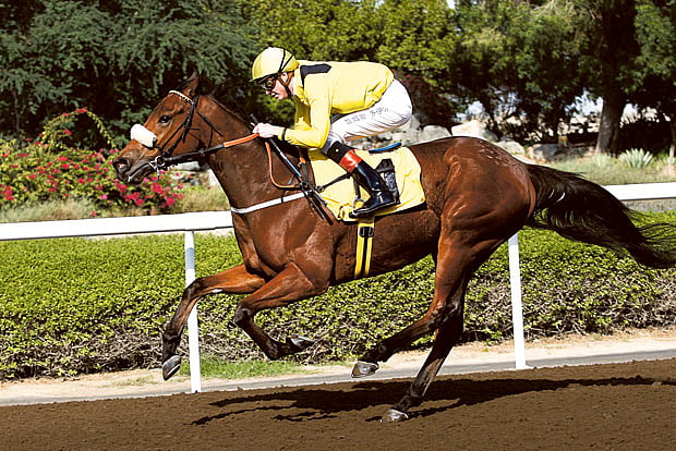 1.1428472-1303445127