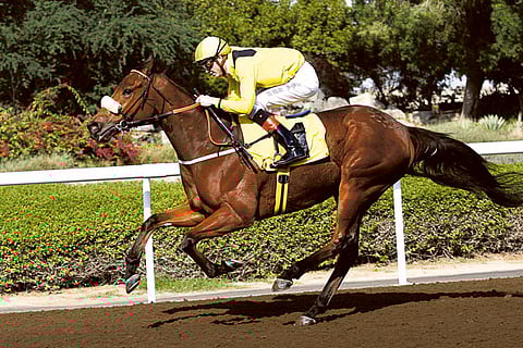 Virendra Saklani/Gulf News Archives