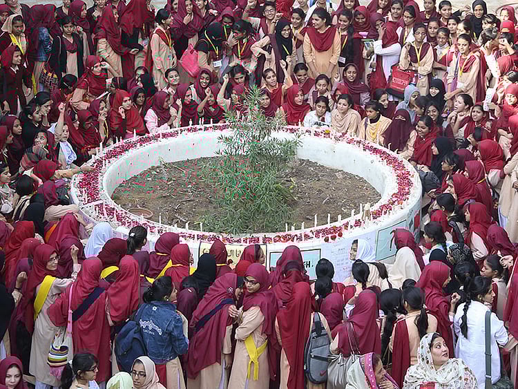 1.1428852-1048513543