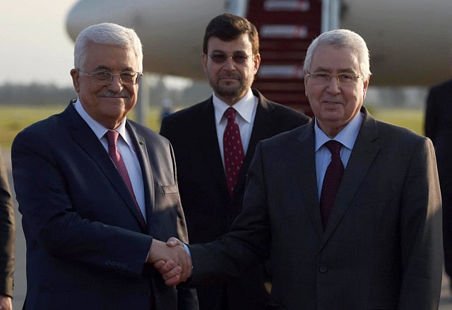 1.1430443-2040516994