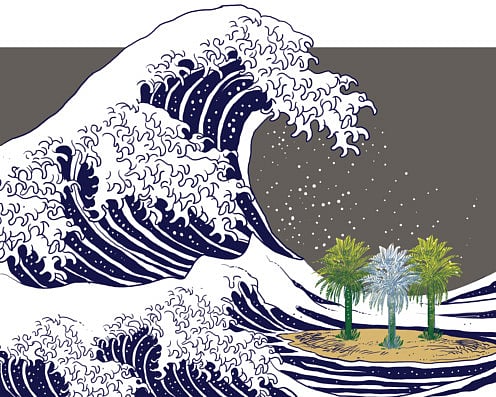 1.1431508-3399694613