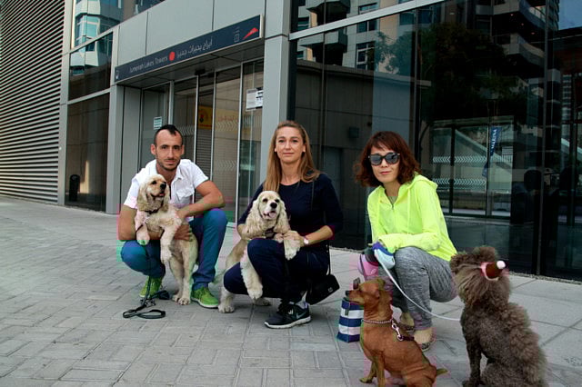 1.1431595-1952324521