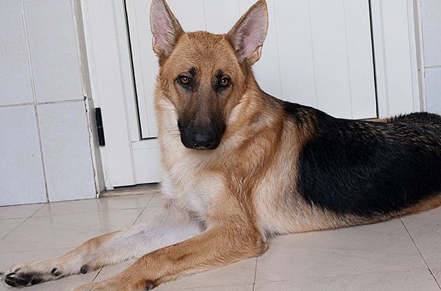 1.1421837-2066301216