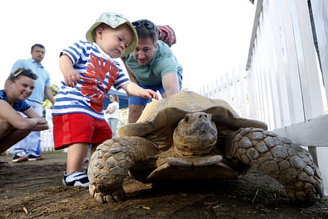 Zarina Fernandes/XPRESS