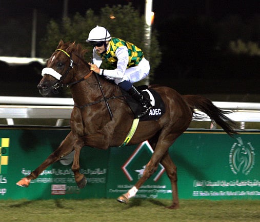 1.1457946-1861550523