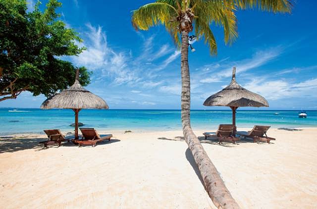 1.2265922-3787882524