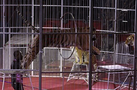 Abdul Rahman/Gulf News 