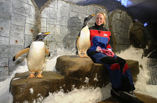 1.1291578-1262381878