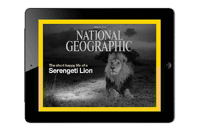 1.1292457-3001988684