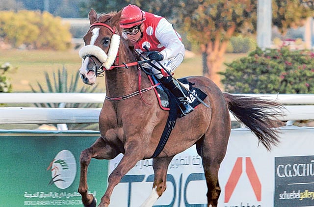 1.1295318-4059569758