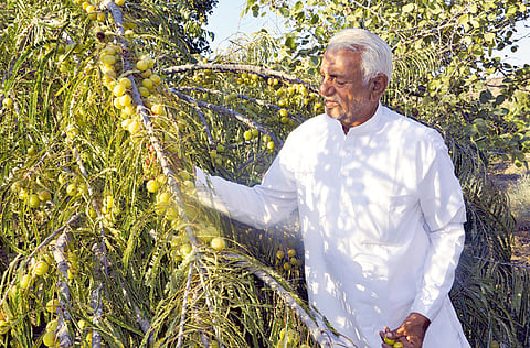 Rakesh Kumar