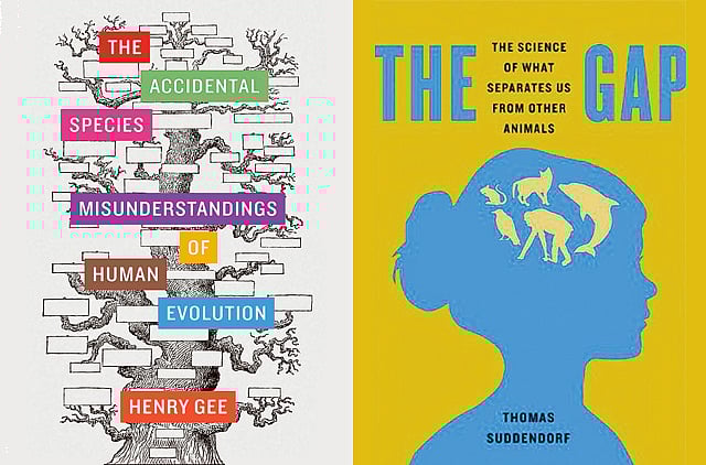 1.1296482-3716918761