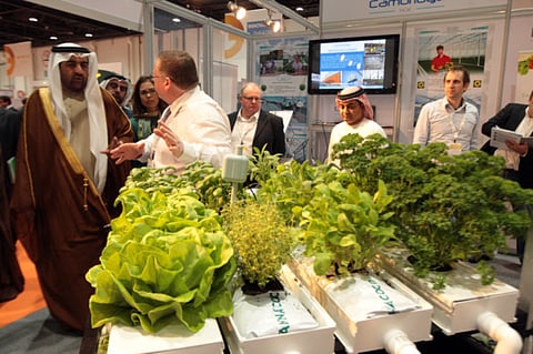 Ahmed Kutty/Gulf News