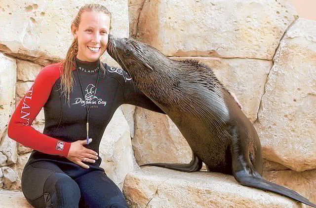 1.1286553-4221007420