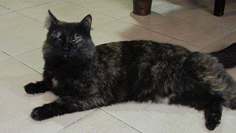 1.1287156-1713962285